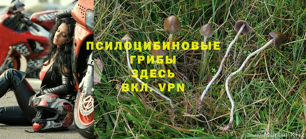 меф Армянск