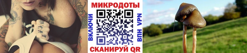 Псилоцибиновые грибы ЛСД  Баймак 